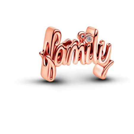 Charm pour bracelet mot famille or rose