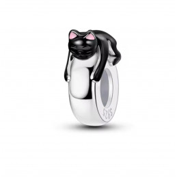 Charm séparateur bloqueur chat noir endormi