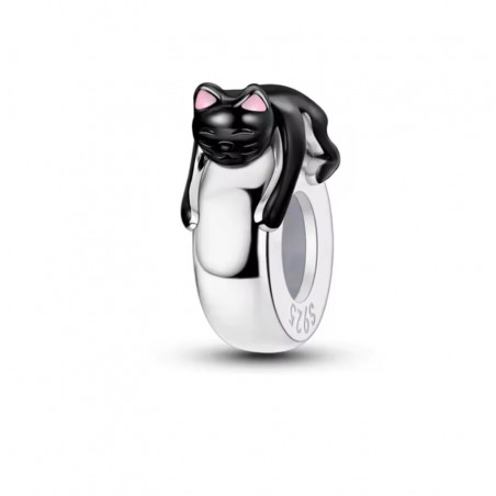 Charm séparateur bloqueur chat noir endormi