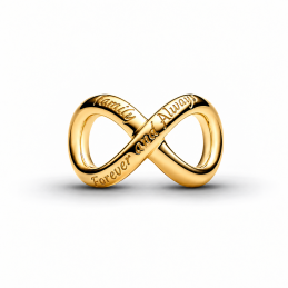Charm pour bracelet infini or famille pour toujours