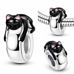 Charm séparateur bloqueur chat noir endormi