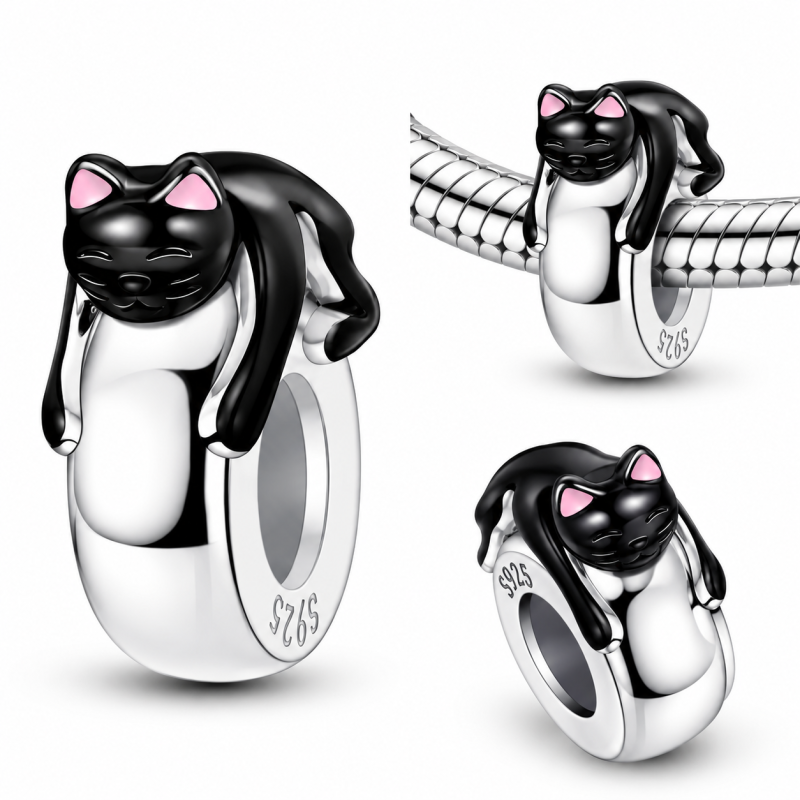 Charm séparateur bloqueur chat noir endormi
