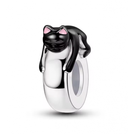 Charm séparateur bloqueur chat noir endormi