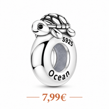 charm tortue bloqueur